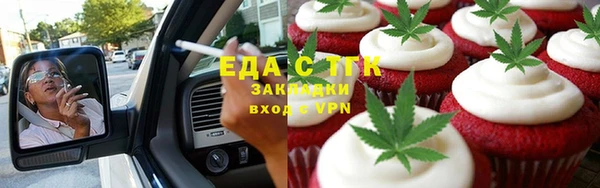крисы Алзамай
