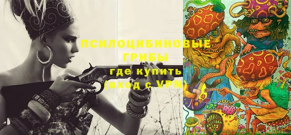 ГАЛЛЮЦИНОГЕННЫЕ ГРИБЫ Алексеевка