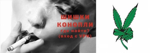 прущие грибы Михайлов